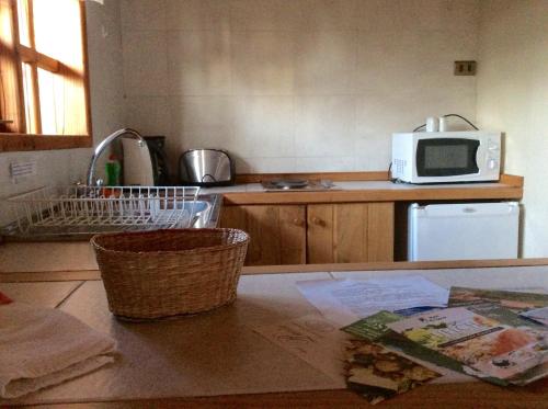 a kitchen with a counter top with a microwave at Cabañas Playa Linda in Pucón