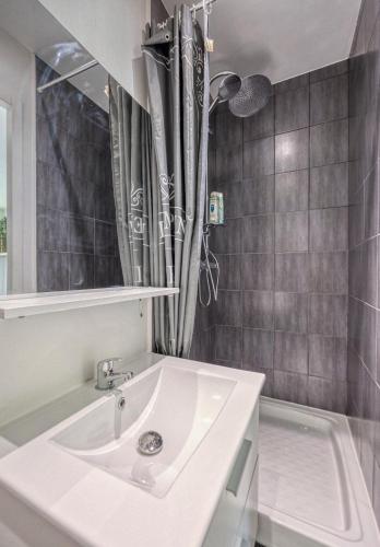 une salle de bain avec un lavabo et une douche dans l'établissement Le Taillefer 3 - Le Frenchi, à Rhut