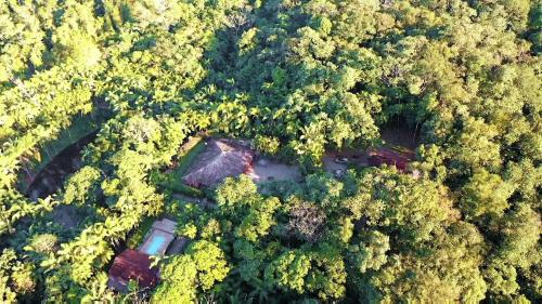 an aerial view of a house in the middle of a forest at Hotel Jussara Cultural - Joinville in Joinville