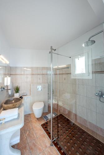 a bathroom with a shower and a toilet and a sink at Apollon Village Hotel in Anafi