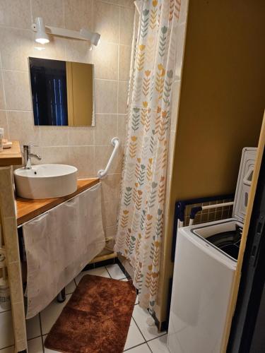 uma casa de banho com um lavatório e uma máquina de lavar roupa em Le 134 Arles Centre climatisé 1 à 4 personnes Appartement em Arles