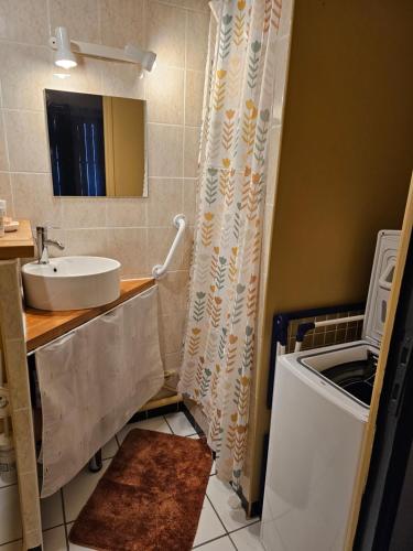 a bathroom with a sink and a washing machine at Le 134 Arles Centre climatisé 1 à 4 personnes Appartement in Arles