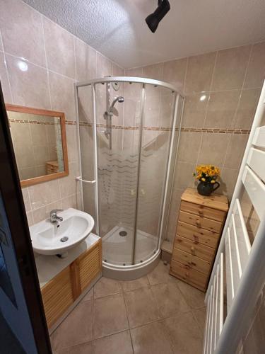 a bathroom with a shower and a sink at Superbe appartement tout équiper in Lélex