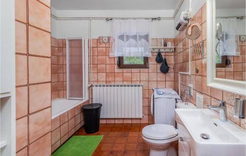 uma casa de banho com um WC e um lavatório em Awesome Home In Ledenice With Jacuzzi, Wifi And Sauna em Ledenice