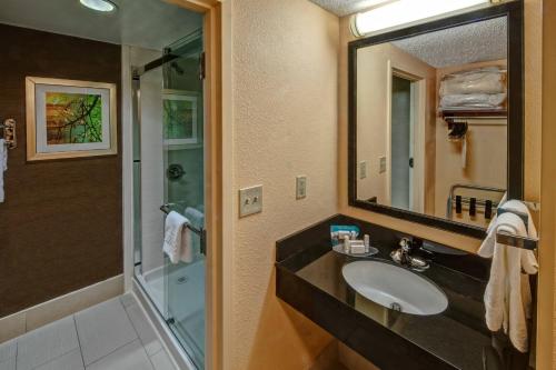 a bathroom with a sink and a shower and a mirror at Fairfield Inn & Suites Memphis Southaven in Southaven