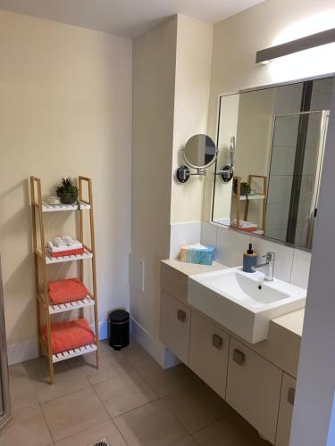 La salle de bains est pourvue d'un lavabo et d'un miroir. dans l'établissement Mauna Loa Apartment, à Darwin