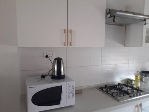 eine Mikrowelle auf einer Küchentheke in der Unterkunft Arc en Ciel 1 - 3 bedrooms Private Appartment in Flic-en-Flac
