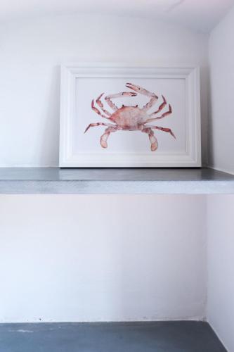 a picture of a crab in a white frame on a shelf at Villa San Pietro in Portovenere
