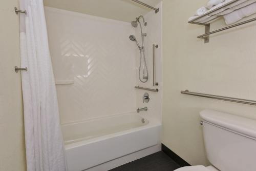 a bathroom with a shower and a tub and a toilet at Holiday Inn Morgantown - Reading Area by IHG in Morgantown