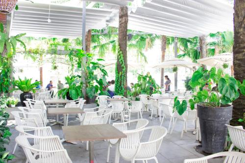 Εστιατόριο ή άλλο μέρος για φαγητό στο International Hotel