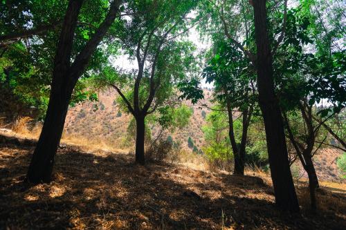 Φυσικό τοπίο κοντά σε αυτό το καταφύγιο