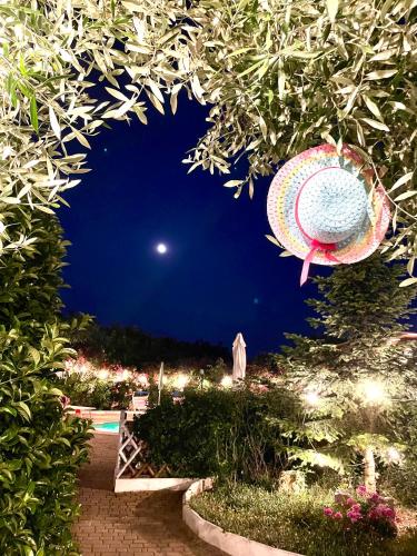 a picture of a garden at night with the moon at Mirella Charming in Alberobello