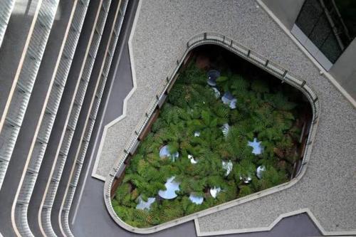 a miniature garden in the middle of a building at Nishi Holiday Apartments in Canberra