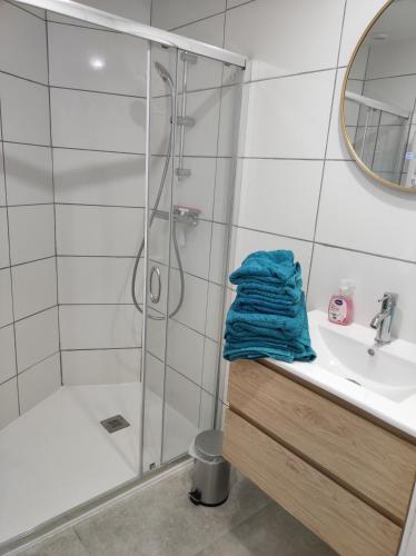 une salle de bain avec douche et lavabo dans l'établissement La maison de la plage, à Plouézec
