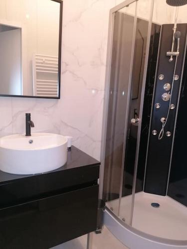 une salle de bain avec un lavabo et une douche dans l'établissement Grand Appartement 5 chambres avec JACUZZI extérieur privée, à Marseille