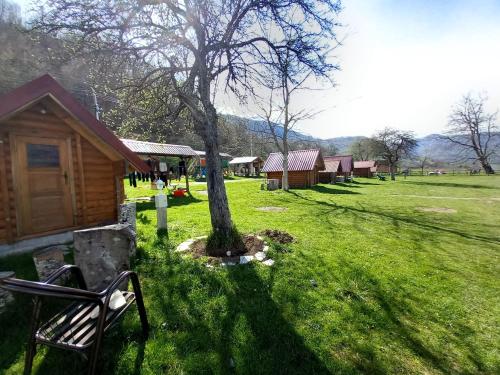 a tree sitting in the grass next to a cabin at Camp &Apartmens Scepanovic in Mojkovac