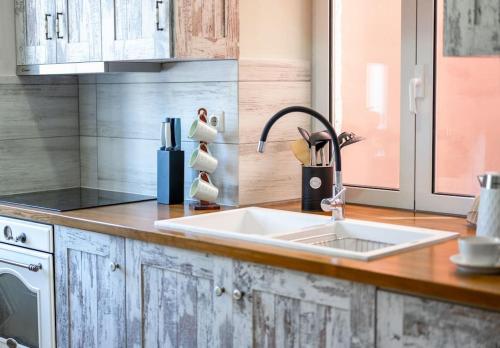 a kitchen with a sink and a counter top at The captain's bridge in Gaios