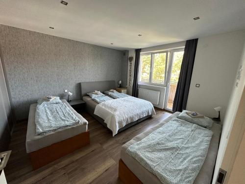 班斯卡－比斯特里察的住宿－WE Apartment - close to the center & city view，一间卧室设有两张床和窗户。