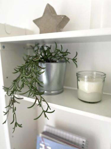 a shelf with a potted plant and a candle at ארץ מדבר - יחידת אירוח בבאר אורה in Beʼer Ora