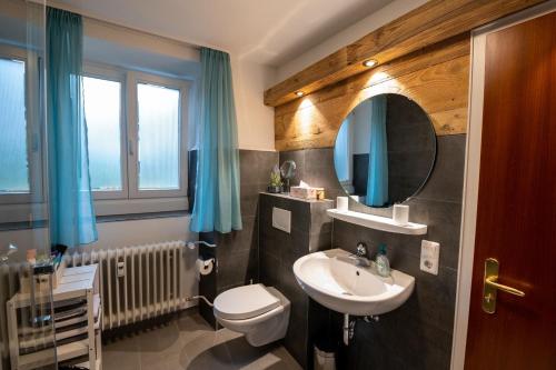 a bathroom with a sink and a toilet and a mirror at Haus Belchenwind in Münstertal