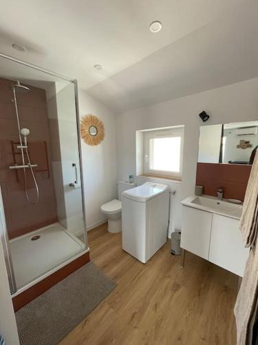 une salle de bain avec une douche, un lavabo et des toilettes dans l'établissement Studio Hyper centre avec balcon WIFI et climatisation, à Toulon