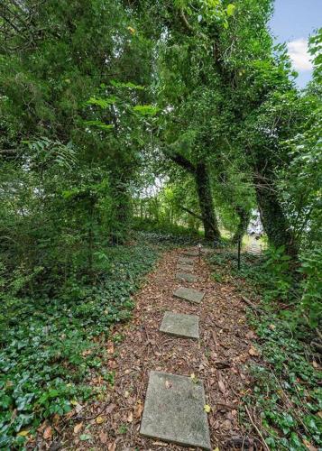 a path in the middle of a forest with trees at Lake Home, Dock, Fire Pit, Hot Tub, Game Room, Etc in Winchester