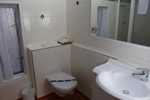 a bathroom with a toilet and a sink and a mirror at Bucklands Beach Waterfront Motel in Auckland