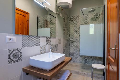 Un baño con lavabo blanco y ducha. en Agriturismo Valleverde, en San Giovanni Valdarno