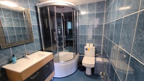 a bathroom with a toilet and a sink and a shower at Casa Cristina Corbu in Corbu
