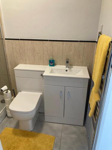 uma casa de banho com um WC branco e um lavatório. em Raglans em Swindon