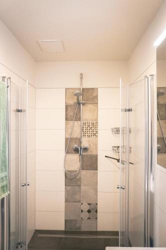a bathroom with a shower with a glass door at FEWO Wiesenschlummerland Harriersand in Schwanewede