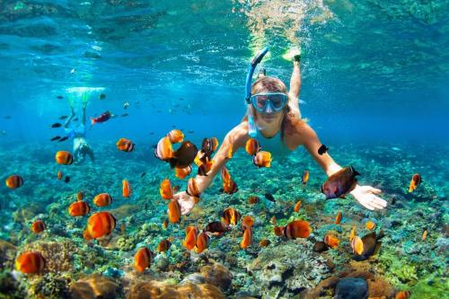 Clientes alojados en A Beautiful Villa Curacao with large pool and tropical garden