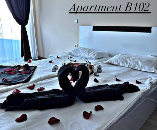 Легло или легла в стая в Aurora Apartments