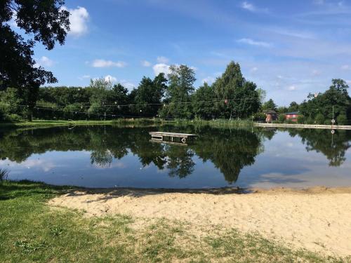 Eine Parkbank mitten in einem See in der Unterkunft Casa53N in Seevetal
