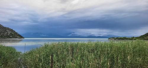 a large body of water with grass in the foreground at Apartment Lake Oasis ''Oko'' in Krnjice