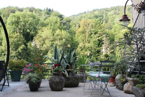 Κήπος έξω από το Chambre Bounty, B&B, cuisine privée, lit queen size, terrasse, parking, garage