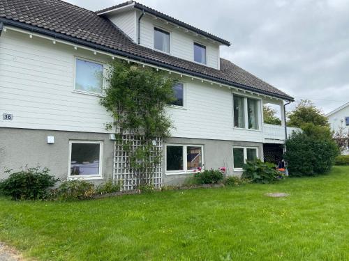 a house with a green yard in front of it at Lofoten Overnatting - Ballstad in Ballstad
