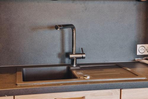 - un évier de cuisine avec un robinet dans l'établissement Domaine Grand Piquecaillou - L'appartement Pomerol, à Saint-Maixant