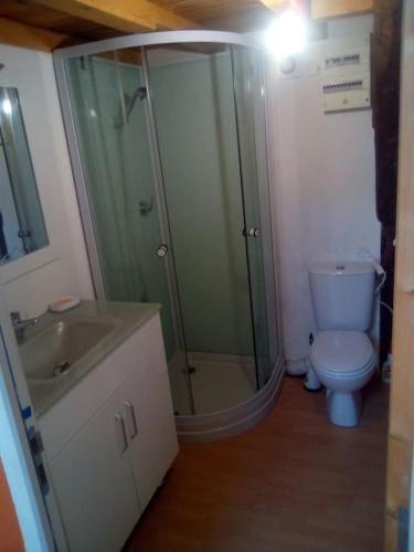 uma casa de banho com um chuveiro, um WC e um lavatório. em T1 ,ch mézanine,cuisine balcon em Langogne