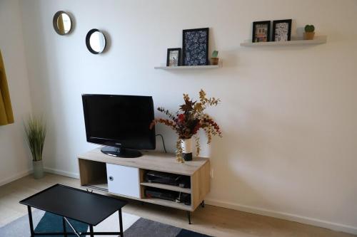 un salon avec une télévision sur une armoire dans l'établissement Le 23 de Louis, à Limoges