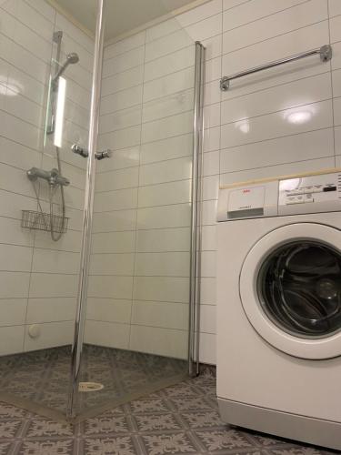 a washing machine in a bathroom with a shower at Lofoten Overnatting - Ballstad in Ballstad