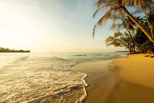 a beach with a palm tree and the ocean w obiekcie Seacret KohKood เกาะกูด w mieście Ban Lak Uan