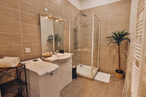 uma casa de banho com um lavatório, um WC e um chuveiro em Domaine Grand Piquecaillou - Appartement Pessac Leognan 