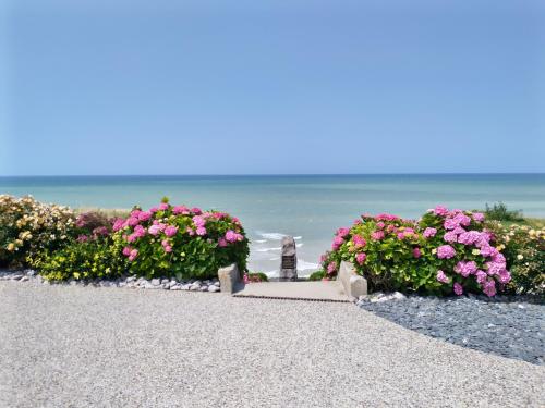 un chemin avec des fleurs et l'océan en arrière-plan dans l'établissement Mobil Home - 4 personnes, à Saint-Martin-Plage