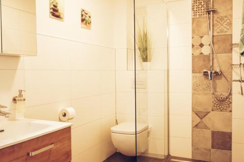 uma casa de banho com um chuveiro, um WC e um lavatório. em Ferienwohnung Sonnenaufgangsgenuss Harriersand em Schwanewede