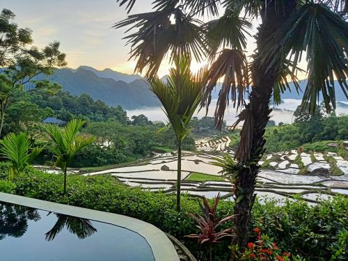 vista su una risaia da una piscina del resort di Puluong Home a Pu Luong