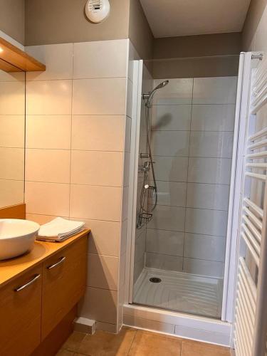 une salle de bain avec douche et lavabo dans l'établissement Appartement station Sainte Foy Tarentaise, à Sainte-Foy-Tarentaise