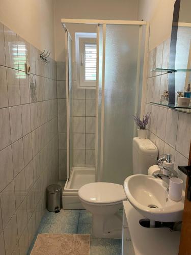 a bathroom with a toilet and a sink and a shower at Apartment " So" in Senj