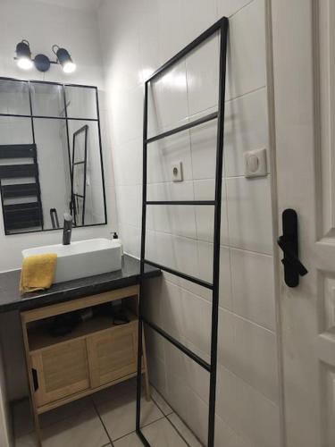 une salle de bain avec un lavabo et un miroir dans l'établissement Coeur d'Albertville - Hyper Centre (Gare à 800 mètres), à Albertville