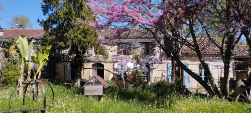 una casa vieja con una casa de pájaros en el patio en Maison Béline en Moissac